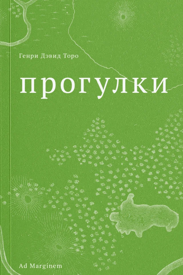 Прогулки